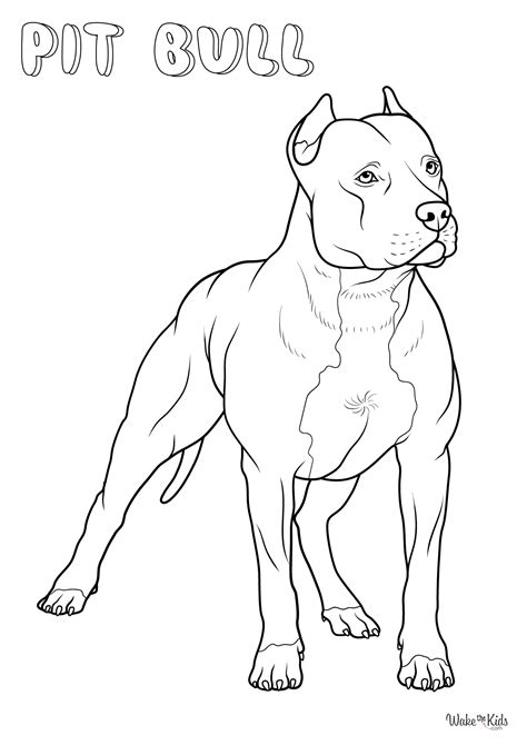 Pit Bull Coloring Pages (Free Printable PDFs) | WakeTheKids