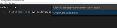 Image result for How to Start SQL Query in vs Code
