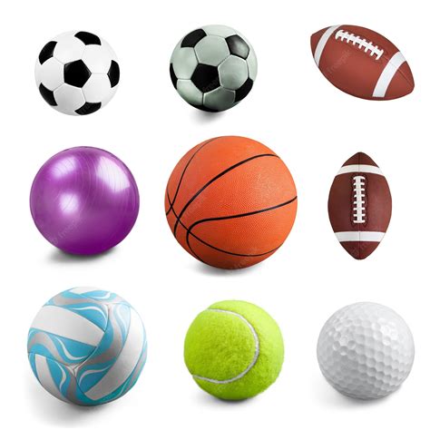 Ball Python Life Expectancy 的图像结果