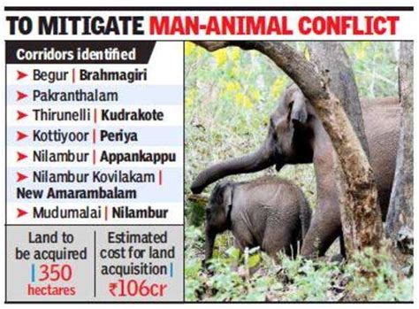 Kerala moots jumbo corridor linking forests, sanctuaries ...