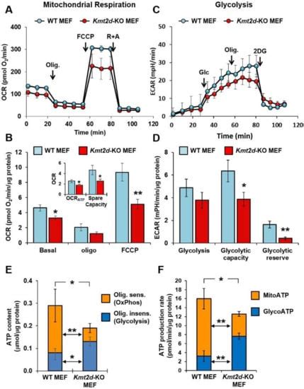 Cells | Special Issue : Molecular and Cellular Basis of Chromatinopathies