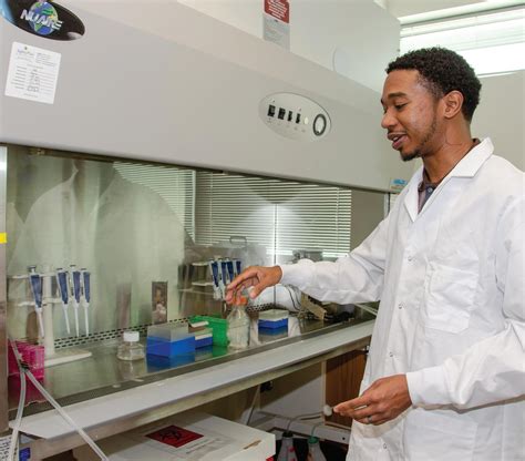 Biomedical Engineering Work Environment 的图像结果