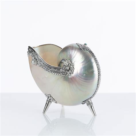 Lot - Amazing Nautilus shell that is very collectible as it is on the endangered list. Circa ...