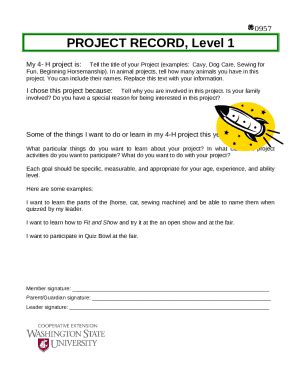 PROJECT RECORD, Level 1 Doc Template | pdfFiller