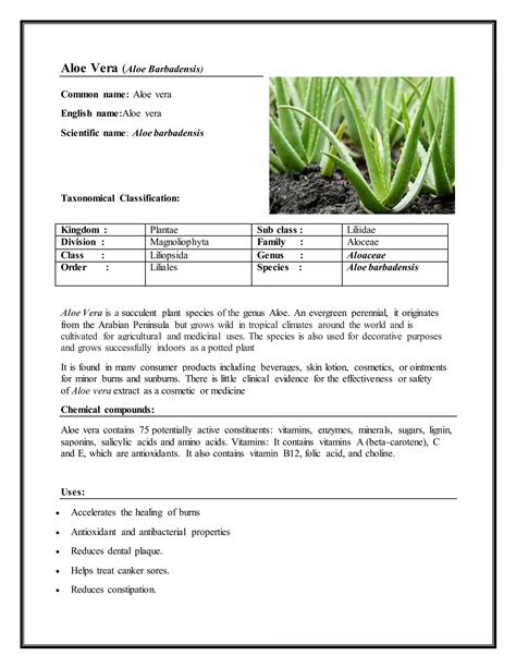 Aloe Vera Scientific Name