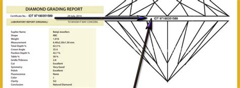 Welcome to IDT World Wide - IDT World Wide