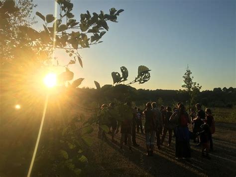 CAMPING DE WATERTOREN (Landgraaf) - Campground Reviews, Photos, Rate ...