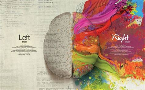 Anatomy and Physiology Wallpapers - 4k, HD Backgrounds on WallpaperBat