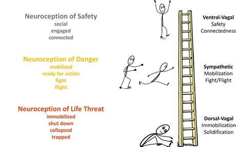 Image result for Autonomic Ladder