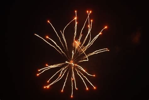 Image result for Display Shell Fireworks