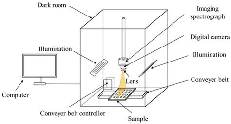 Detection of Oil Chestnuts Infected by Blue Mold Using Near-Infrared ...