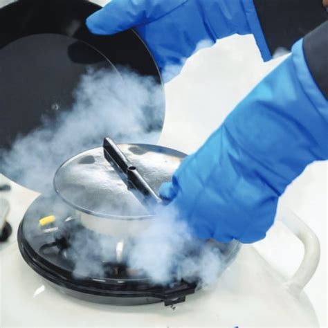 Cryopreservation of Human Tissues, Umbilical Cord & Cord Blood ...