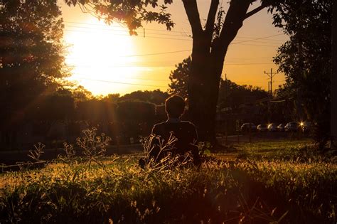 Image result for Sublime Text ReactJS Setup