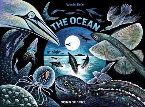 The Ocean at Night by Isabelle Simler | 9781782694885 | Pushkin Press
