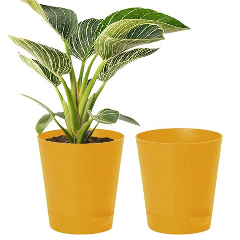 Kuber Industries Plastic Titan Pot|Garden Container for Plants ...