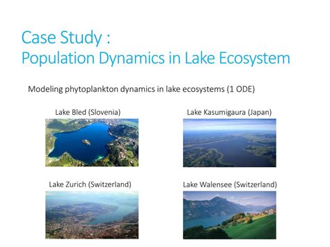 Learning Process Models 的图像结果