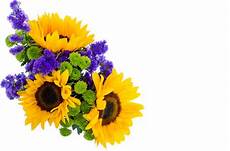 Free Clipart Image Of Flower by Flowers Free Stock Photo Domain Pictures Free Clipart Image Of Flower