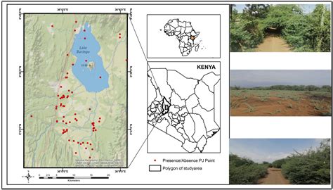 Utilizing Artificial Intelligence and Remote Sensing to Detect Prosopis ...