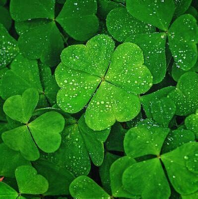 Amazon.com: Nsifiok Umoh: Books, Biography, Blog, Audiobooks, Kindle