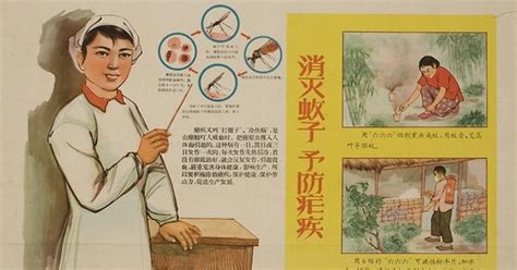 The secret Maoist Chinese operation that conquered malaria – and won a ...