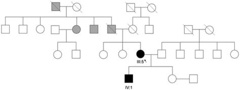 Genes | An Open Access Journal from MDPI