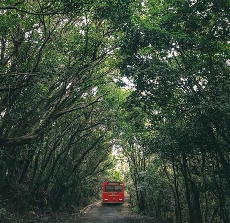 Image result for Mathale Driving Photos