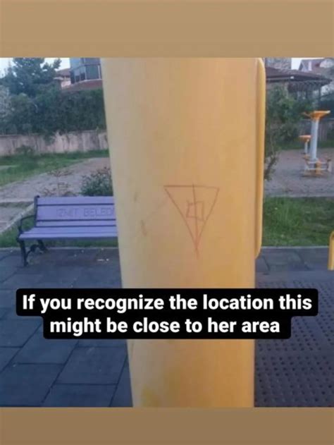 1 Bitch 9 Puppies. Reader discretion strongly advised. : r ...