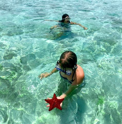 Jackson's Charters And Adventures (Spanish Wells) - Lohnt es sich ...