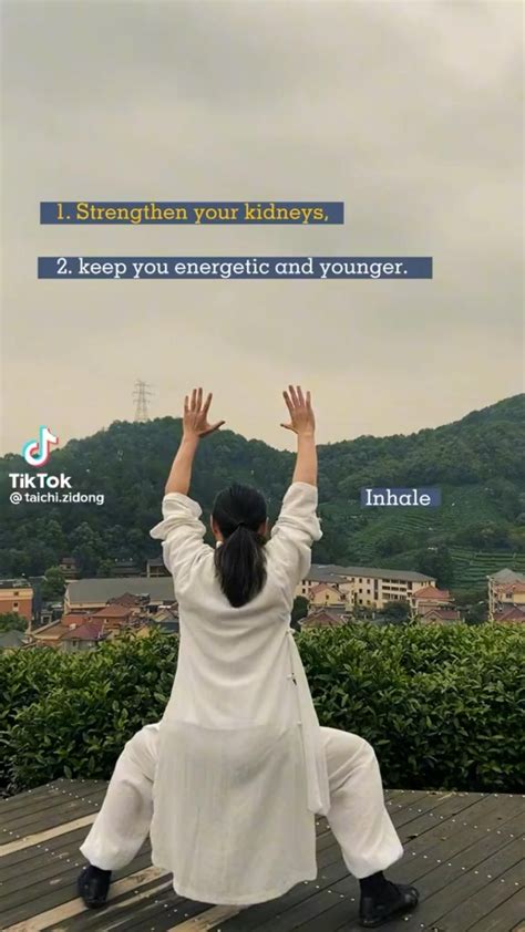 Image result for Tutorial On Tai Chi