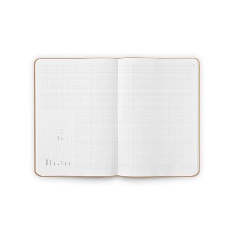 Inside of Notebook 的图像结果