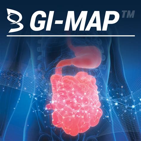GI Map Testing 的图像结果