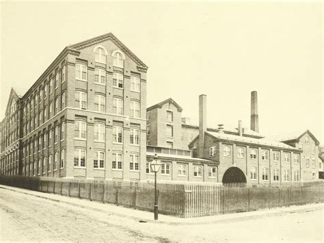 Are Timex Watches Good? All You Need to Know About the Quintessential ...