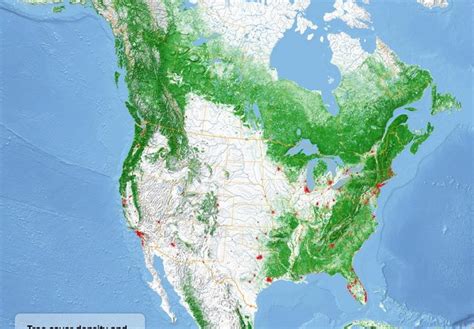 De Environment Map 的图像结果