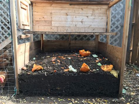 Using Chicken Poop In Compost at Veronica Hiatt blog