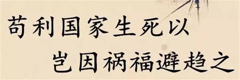 苟利国家生死以,岂因祸福避趋,当时所处的社会背景是什么?-_补肾参考网