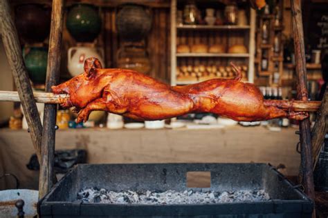 Image result for Hog Tying Tutorial