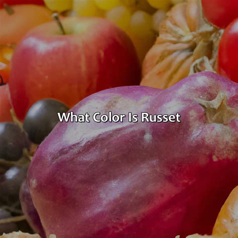 What Color Is Mocha - colorscombo.com