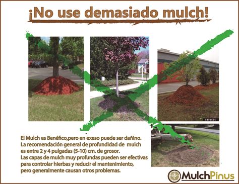 El mulch es un material muy favorable para el medio ambiente, no ...