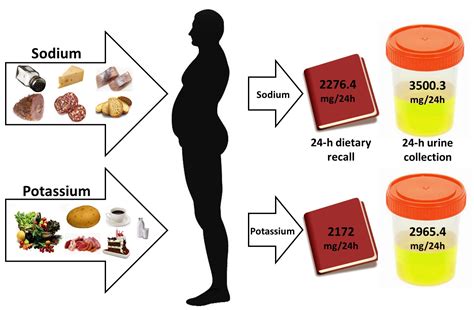 Salt Consumption in Latvian Population: A Pilot Study