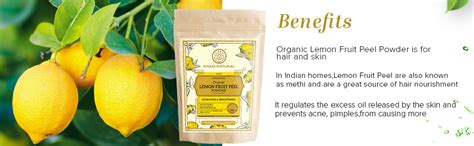 Buy KHADI NATURAL Lemon Fruit Peel Organic Powder Pack of 2 (2x100gm ...