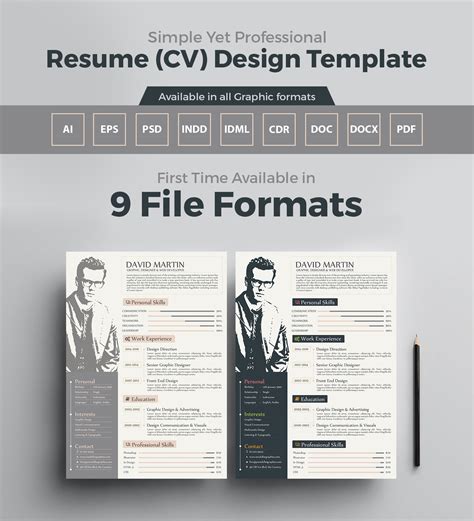 Simple Yet Professional Resume (CV) Design Templates In Ai, EPS, PSD ...