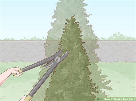 Image result for How to Build a Tree Farm