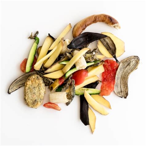 Food Waste Transparent Background 的图像结果