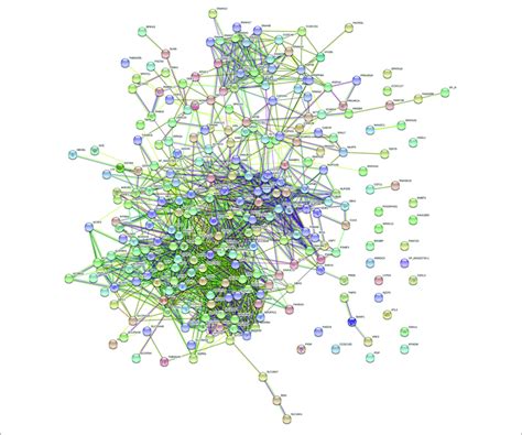 String Spring 的图像结果