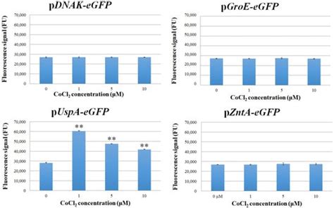 A Whole-Cell System Based on Engineered Bacteria to Assess Cobalt ...