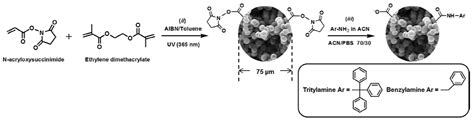 Various Strategies in Post-Polymerization Functionalization of Organic ...