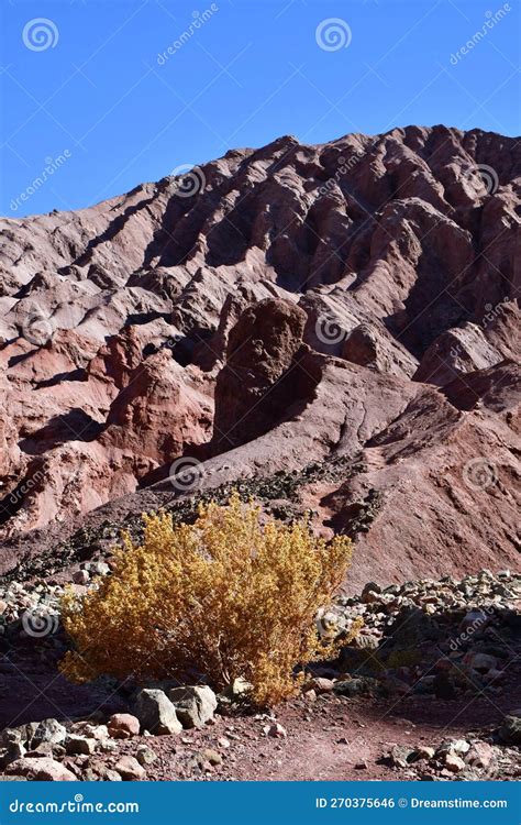 Atacama Desert Panorama Views Chile South America Stock Photo - Image ...
