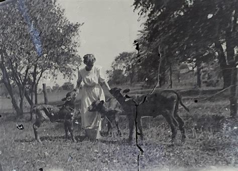 Image result for Negative Scan Relector