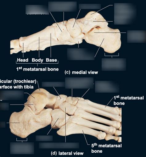 Image result for Toe Lateral View