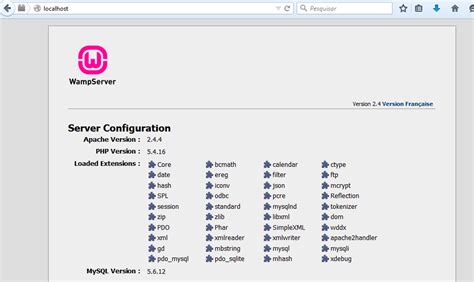 Wamp Localhost 的图像结果